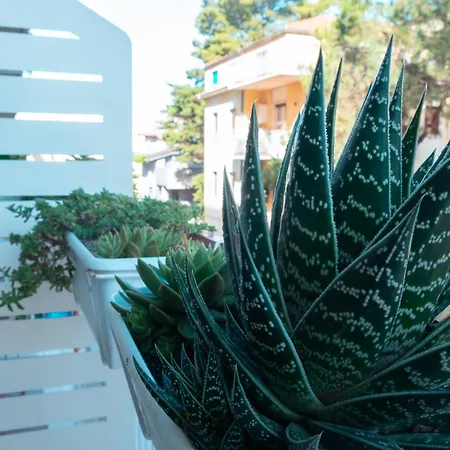 Le Ciulla Luxury B&B-2